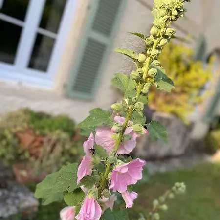 La Grande Barbotiere D'exception * Saint-Vivien (Charente-Maritime)